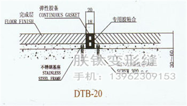DTB-20